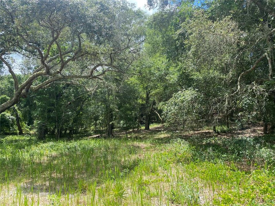 En Venta: $325,000 (10.00 acres)