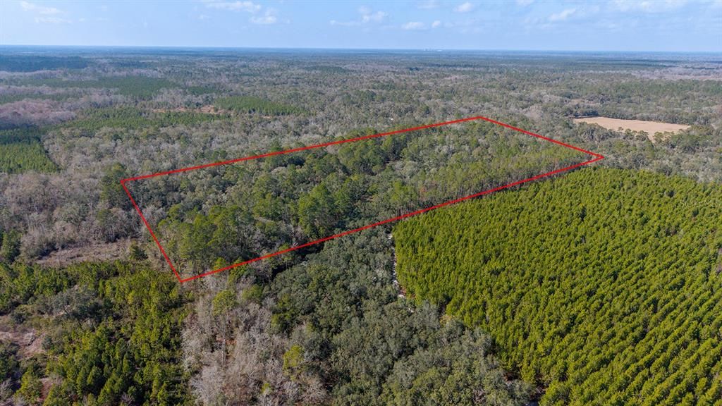 For Sale: $240,000 (20.00 acres)