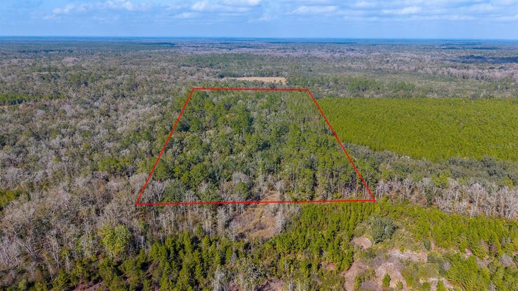 For Sale: $240,000 (20.00 acres)