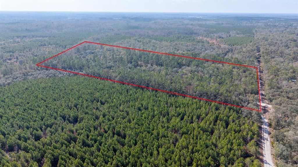 For Sale: $240,000 (20.00 acres)