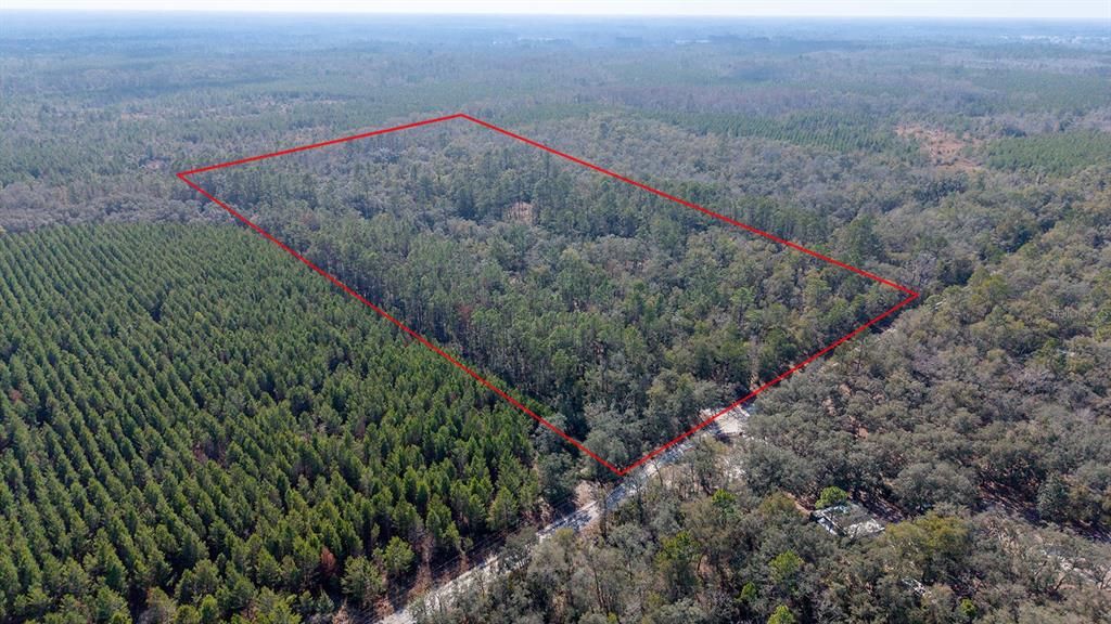 For Sale: $240,000 (20.00 acres)