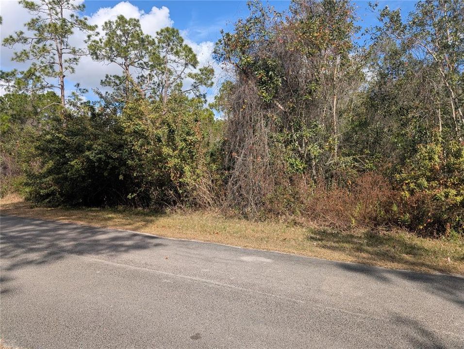 For Sale: $50,000 (0.50 acres)