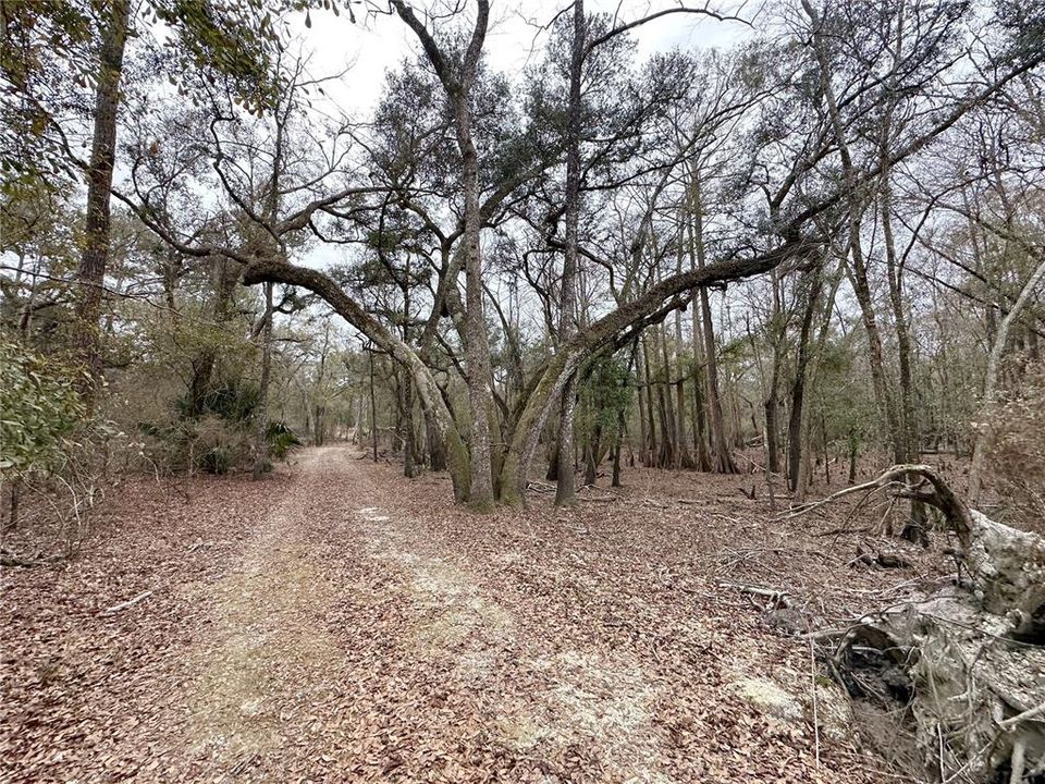 Recently Sold: $149,000 (22.00 acres)