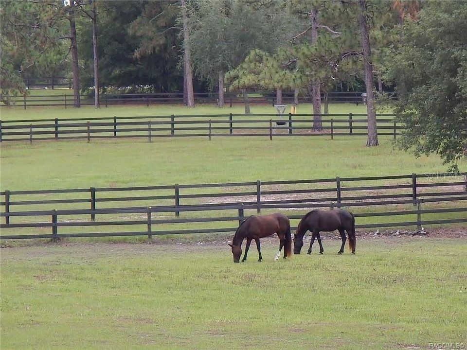 En Venta: $299,000 (5.92 acres)