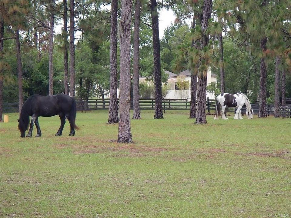 En Venta: $299,000 (5.92 acres)