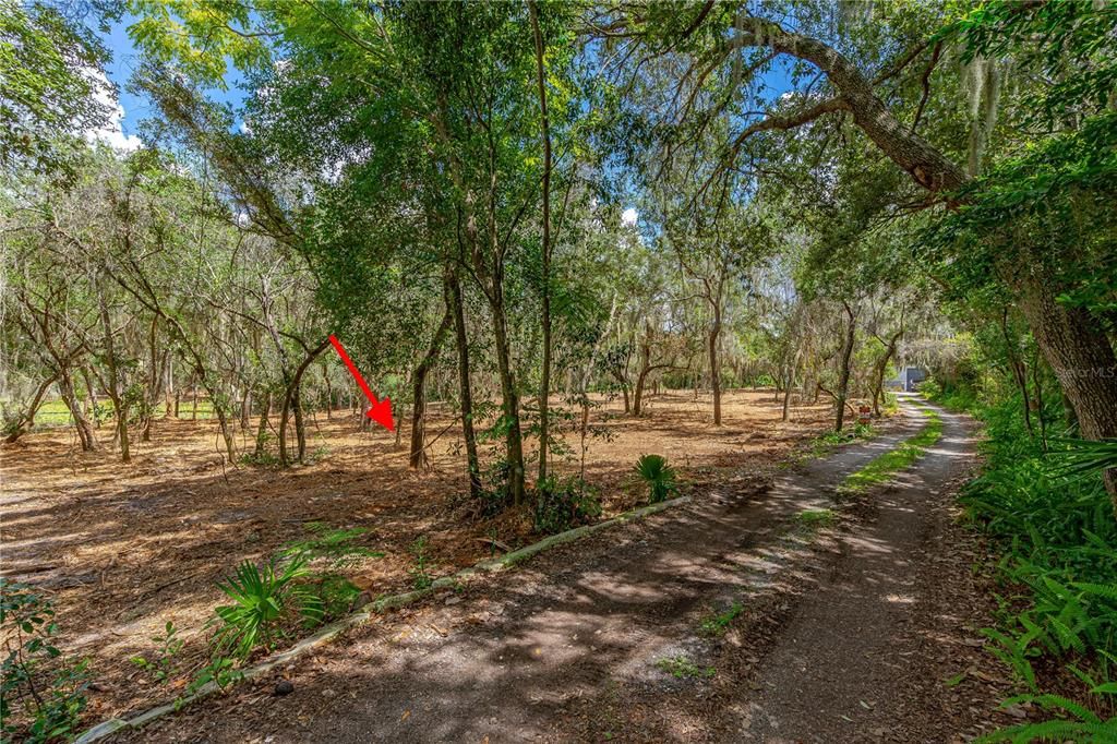 For Sale: $109,000 (1.62 acres)