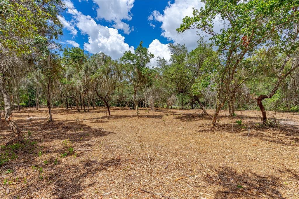 For Sale: $109,000 (1.62 acres)