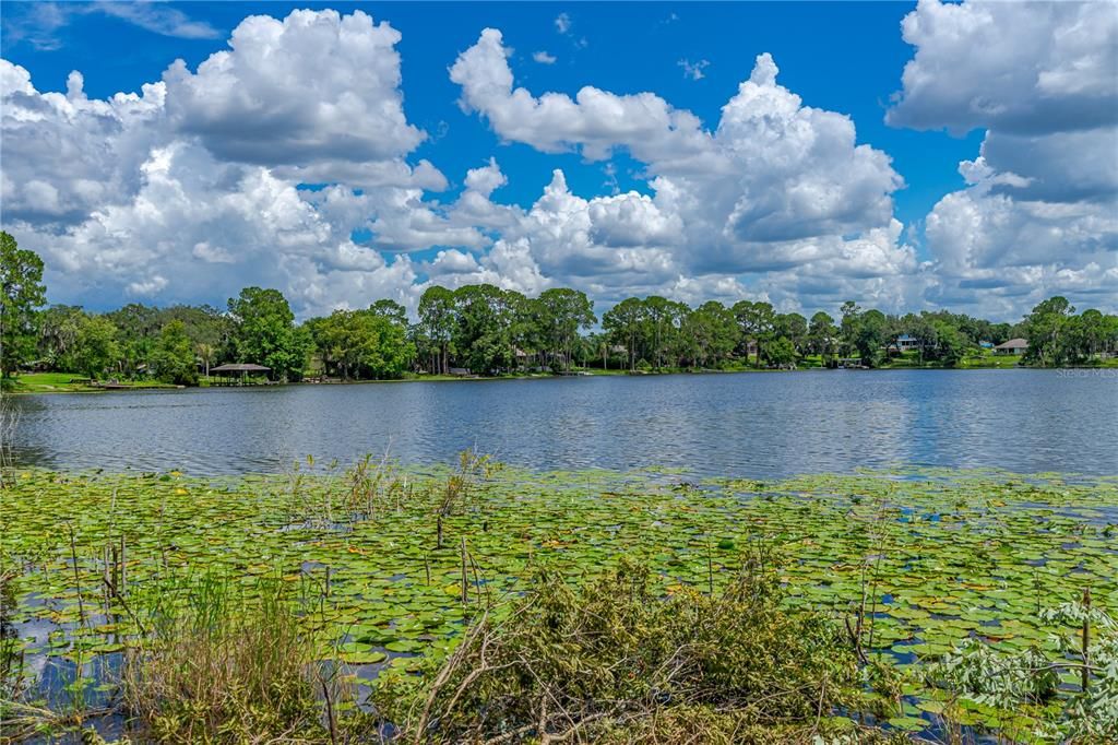 For Sale: $109,000 (1.62 acres)