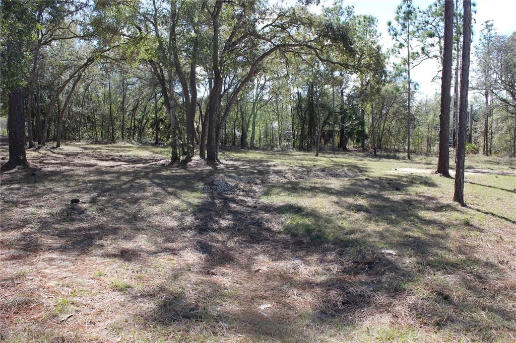 En Venta: $80,000 (0.90 acres)