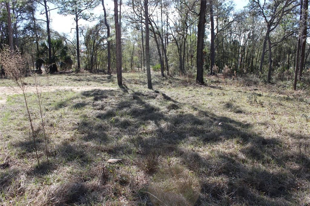 En Venta: $80,000 (0.90 acres)