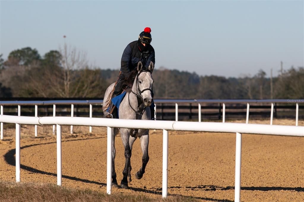 На продажу: $599,000 (20.01 acres)