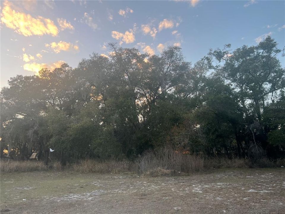 Vendido Recientemente: $60,000 (0.32 acres)