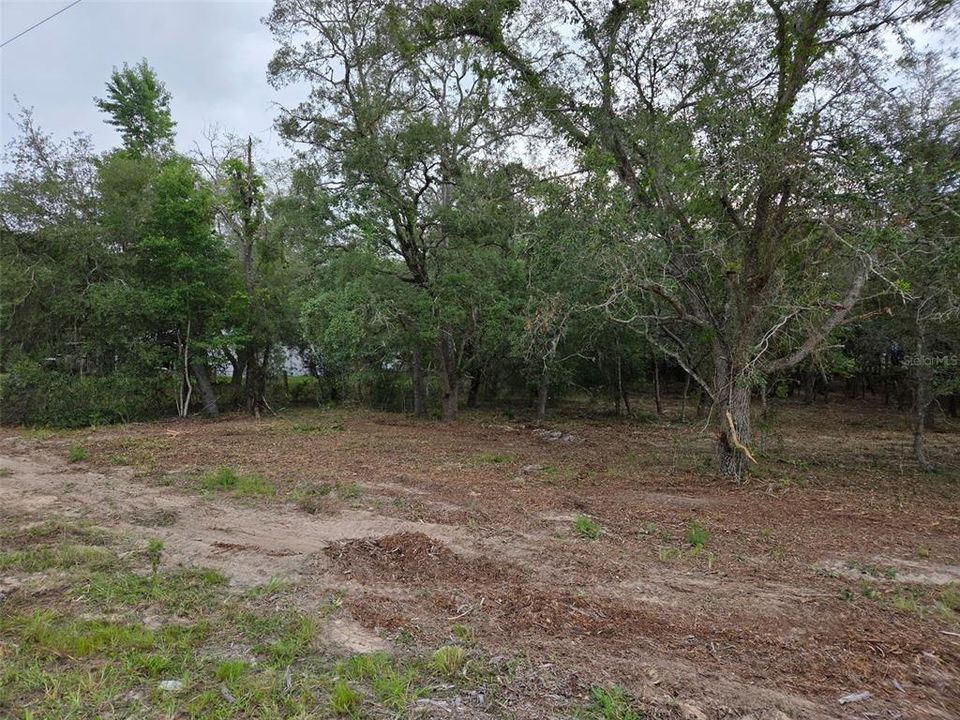 На продажу: $30,000 (1.25 acres)