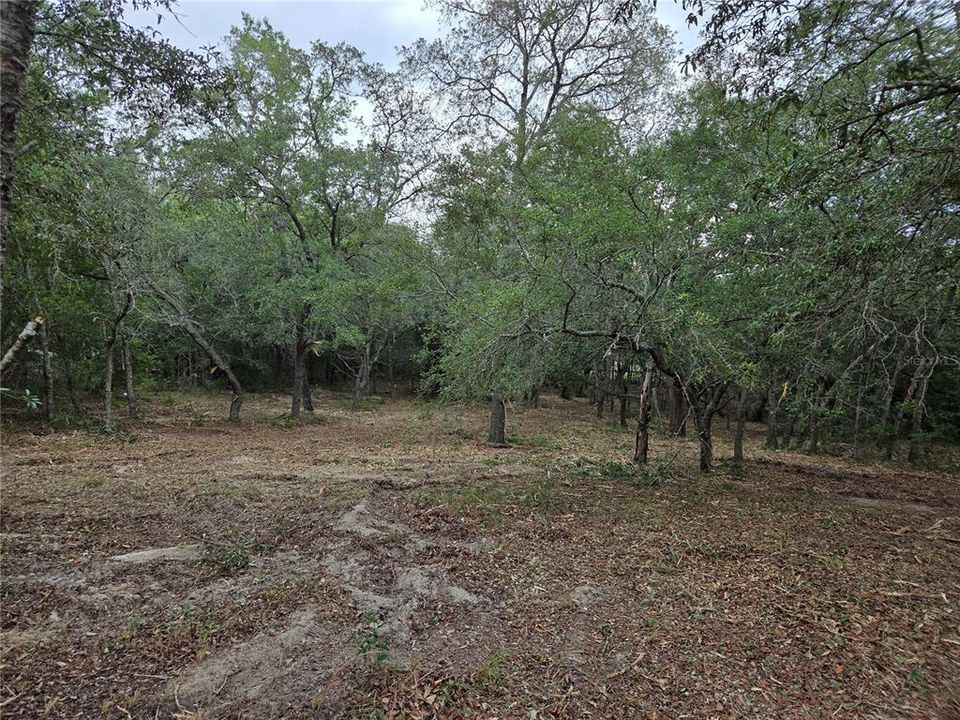 На продажу: $30,000 (1.25 acres)