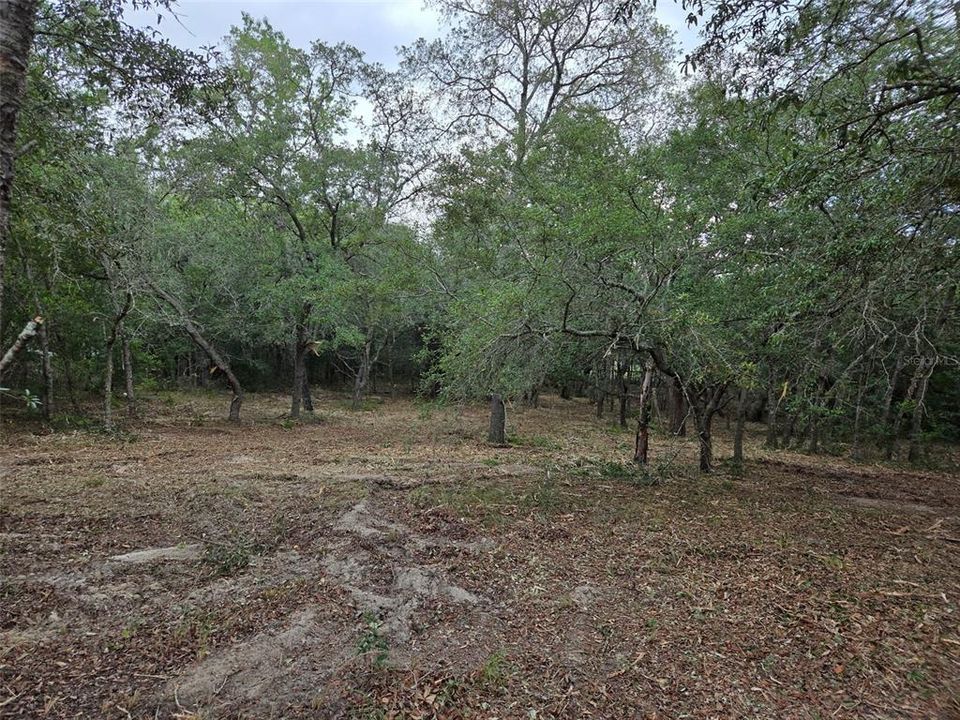 На продажу: $30,000 (1.25 acres)