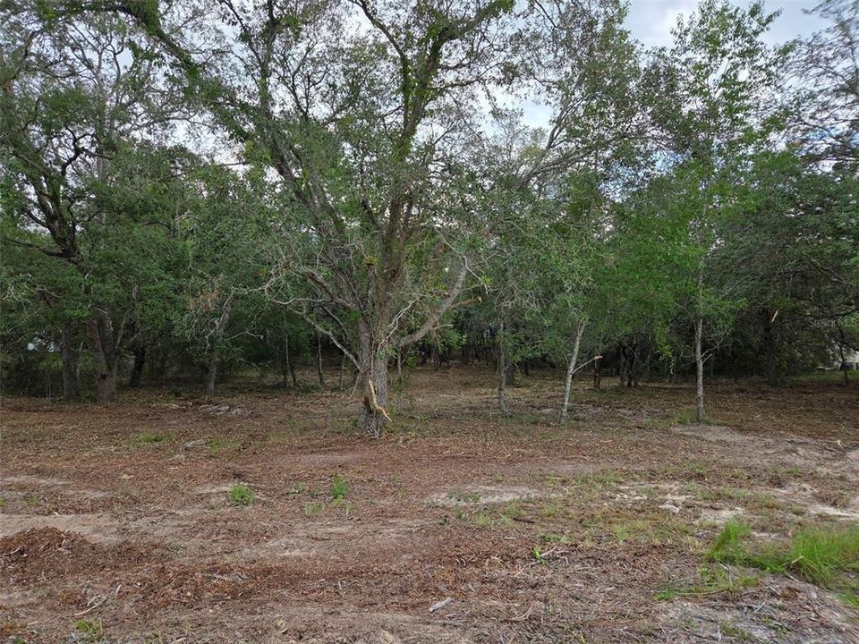 На продажу: $30,000 (1.25 acres)