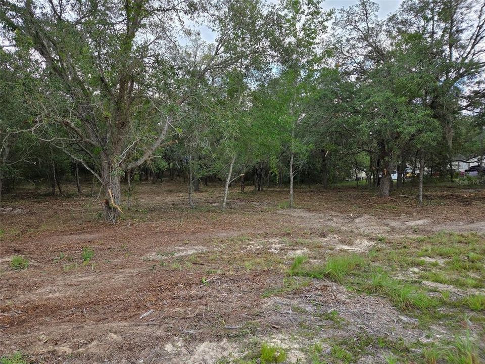 На продажу: $30,000 (1.25 acres)