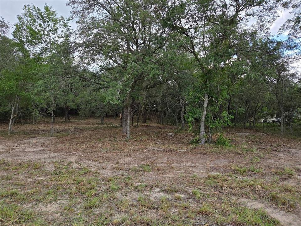 На продажу: $30,000 (1.25 acres)