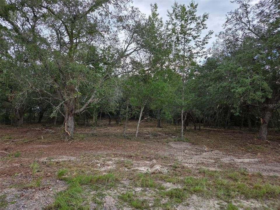 На продажу: $30,000 (1.25 acres)