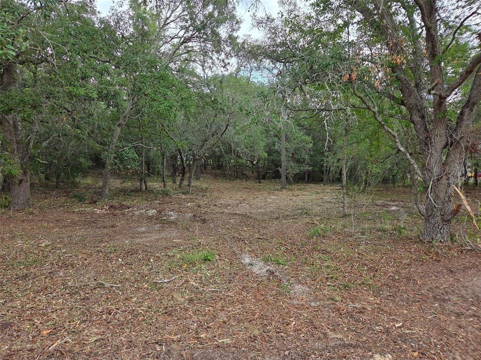 На продажу: $30,000 (1.25 acres)
