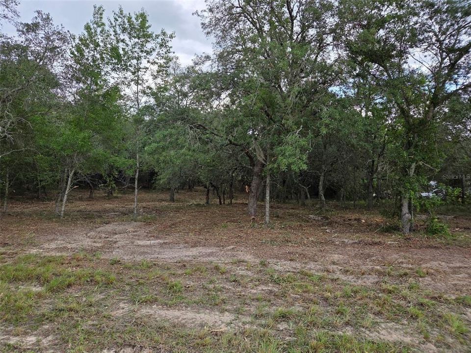 На продажу: $30,000 (1.25 acres)