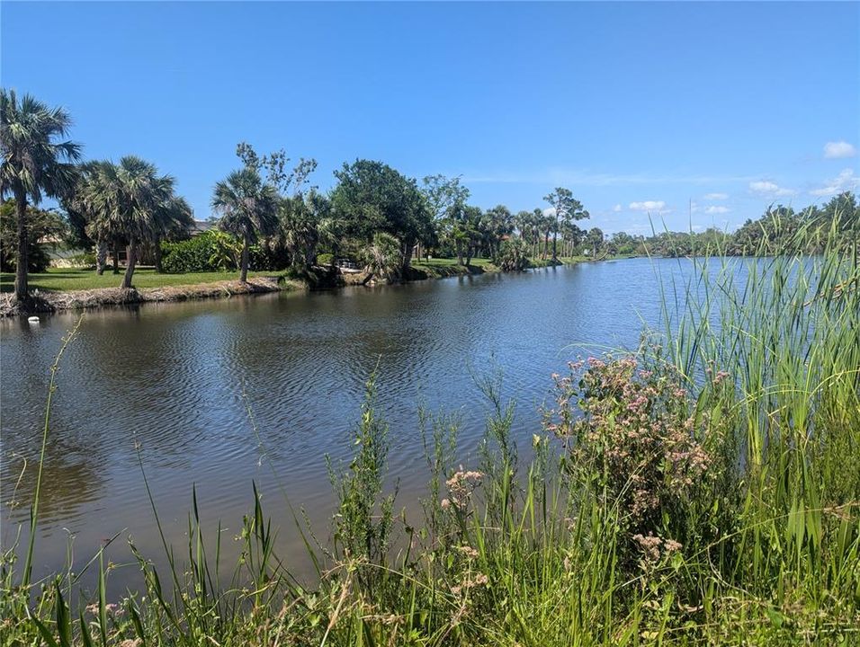 En Venta: $380,000 (5.97 acres)