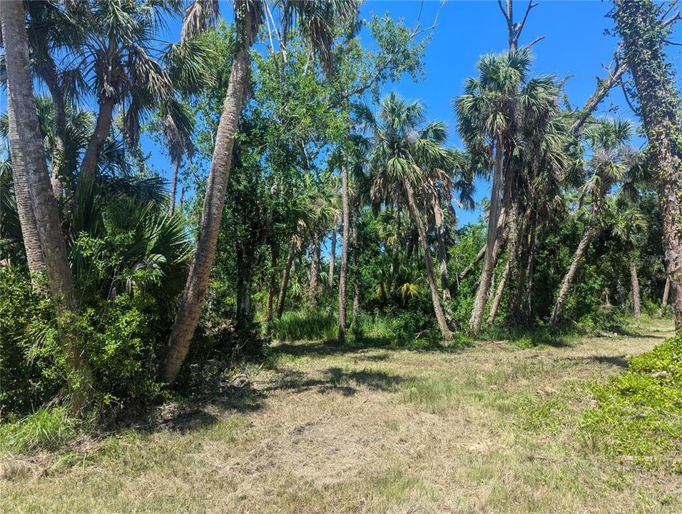 En Venta: $380,000 (5.97 acres)