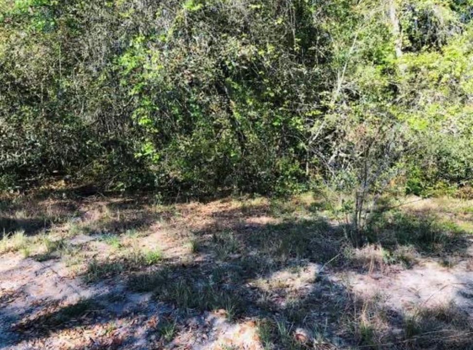 待售: $30,000 (0.21 acres)