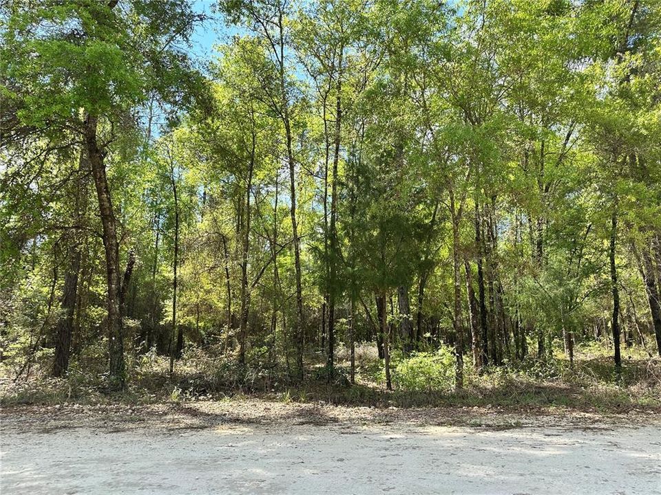 For Sale: $19,000 (0.92 acres)