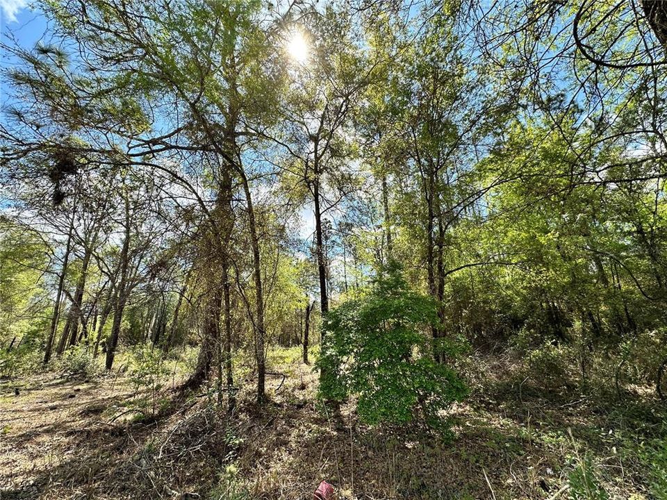 For Sale: $19,000 (0.92 acres)