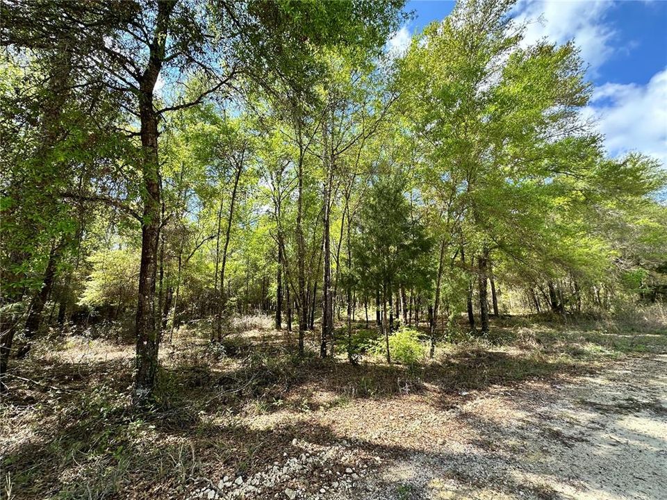 For Sale: $19,000 (0.92 acres)