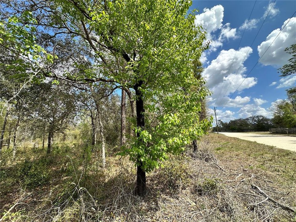 На продажу: $19,000 (0.83 acres)