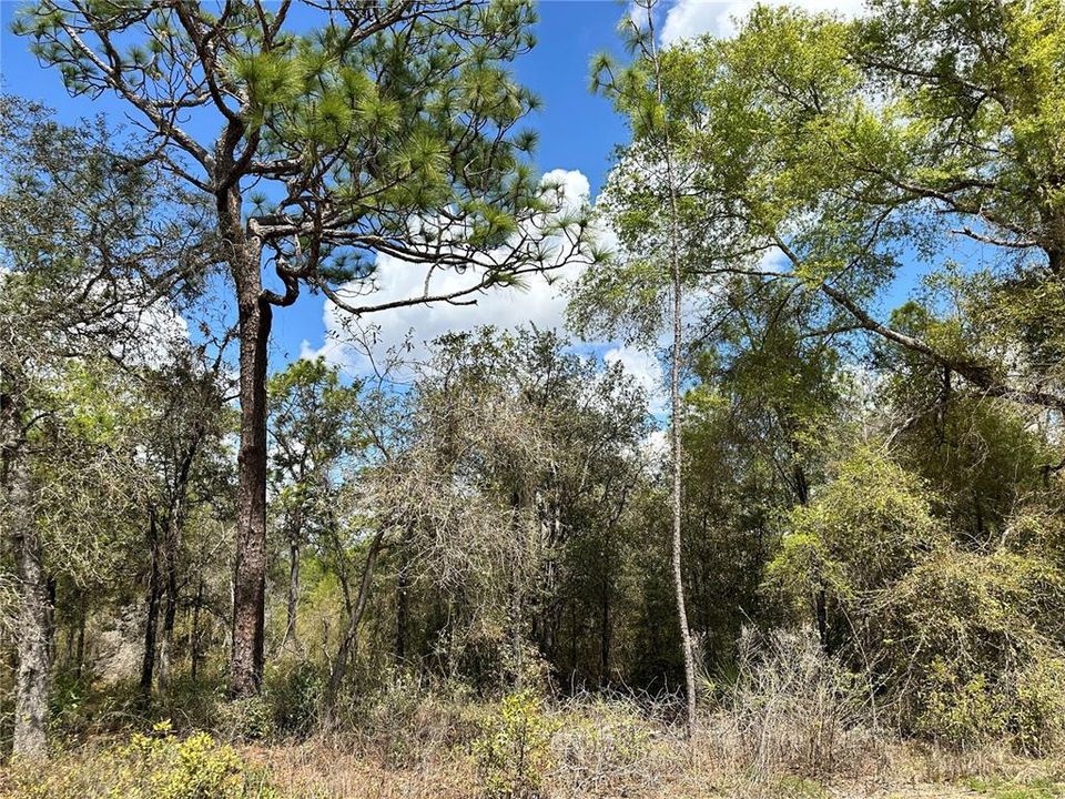 На продажу: $19,000 (0.83 acres)