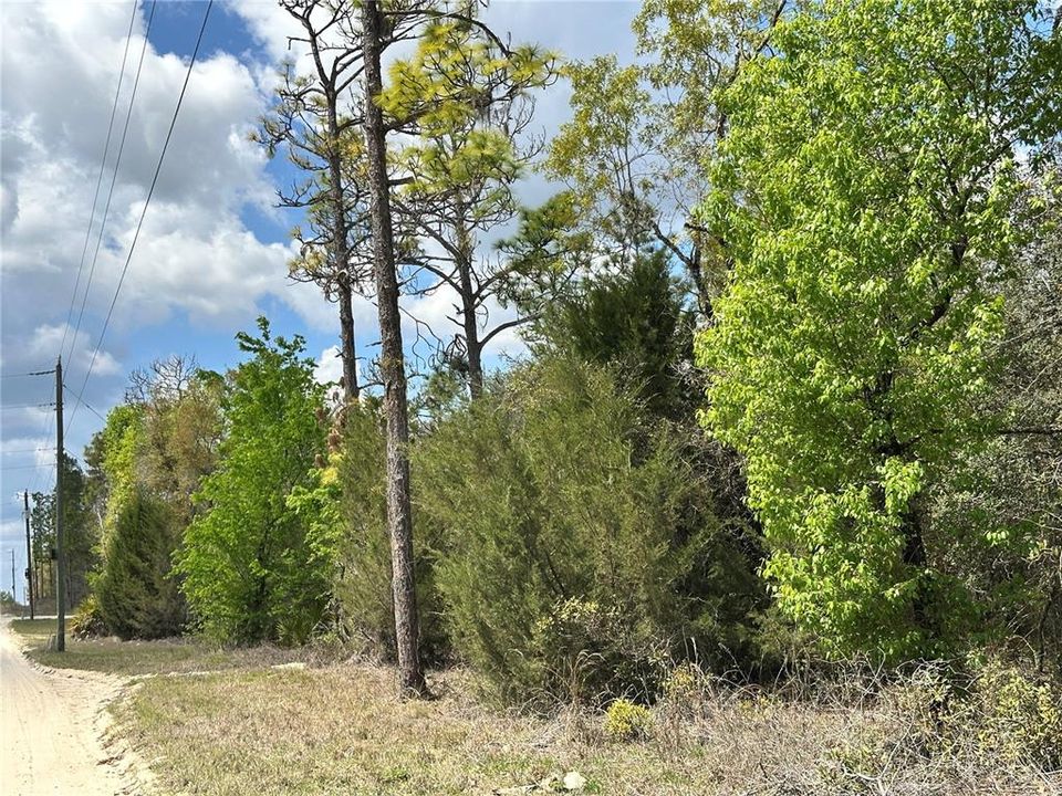 На продажу: $19,000 (0.83 acres)