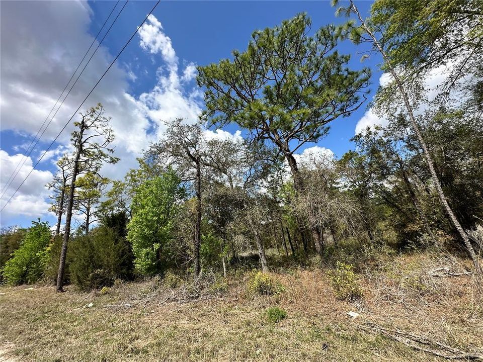 На продажу: $19,000 (0.83 acres)