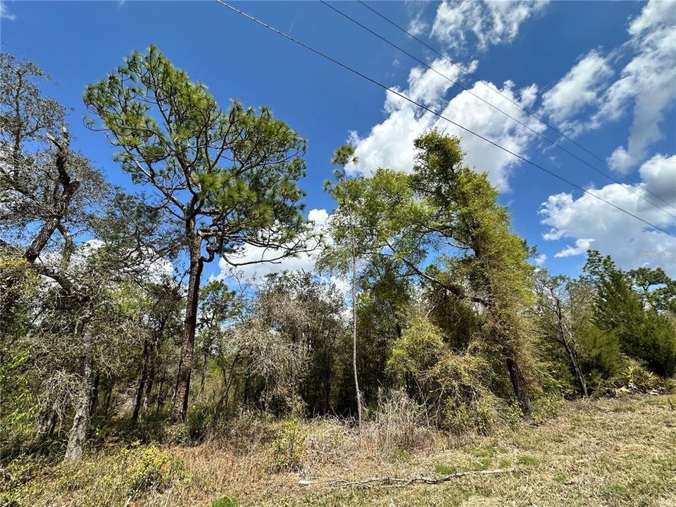 На продажу: $19,000 (0.83 acres)