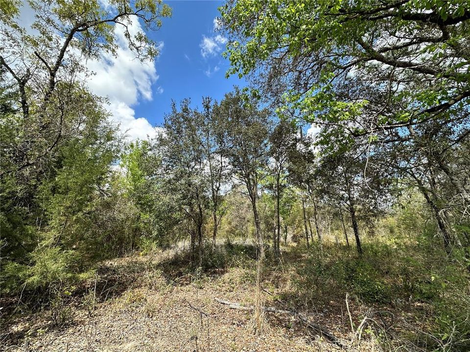 На продажу: $19,000 (0.83 acres)