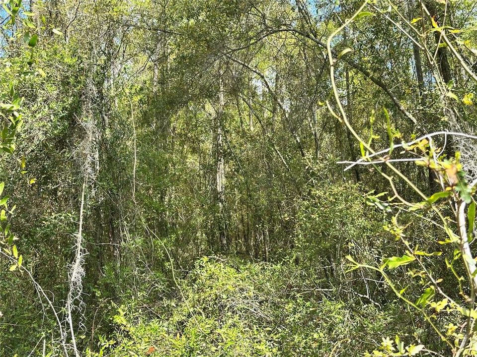 待售: $19,000 (0.46 acres)