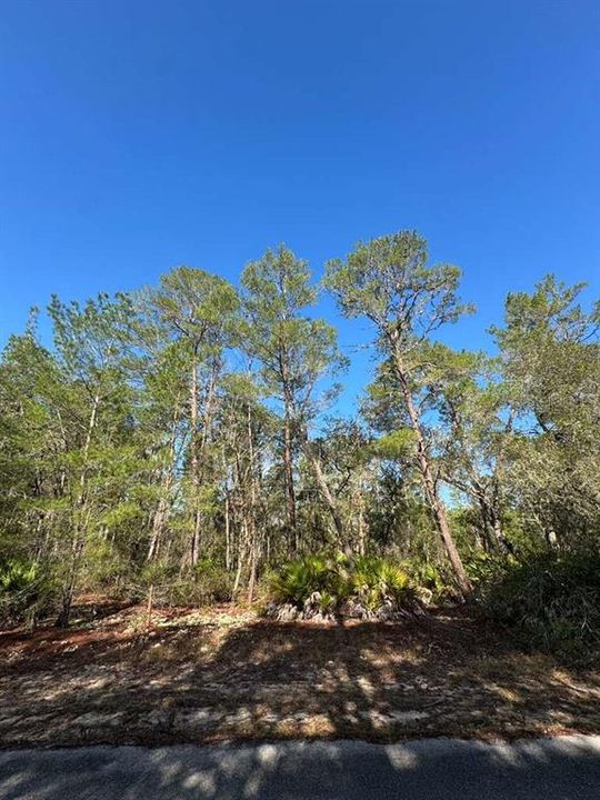 待售: $33,000 (0.24 acres)