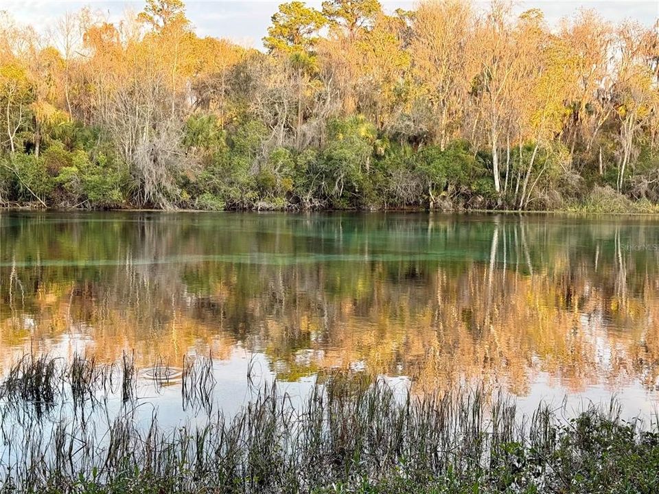 На продажу: $70,000 (1.21 acres)