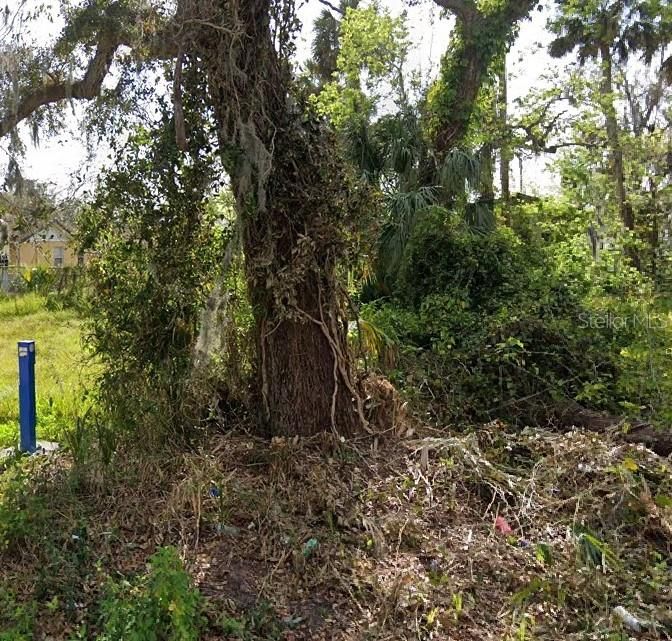 En Venta: $29,000 (0.12 acres)