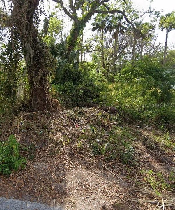 En Venta: $29,000 (0.12 acres)