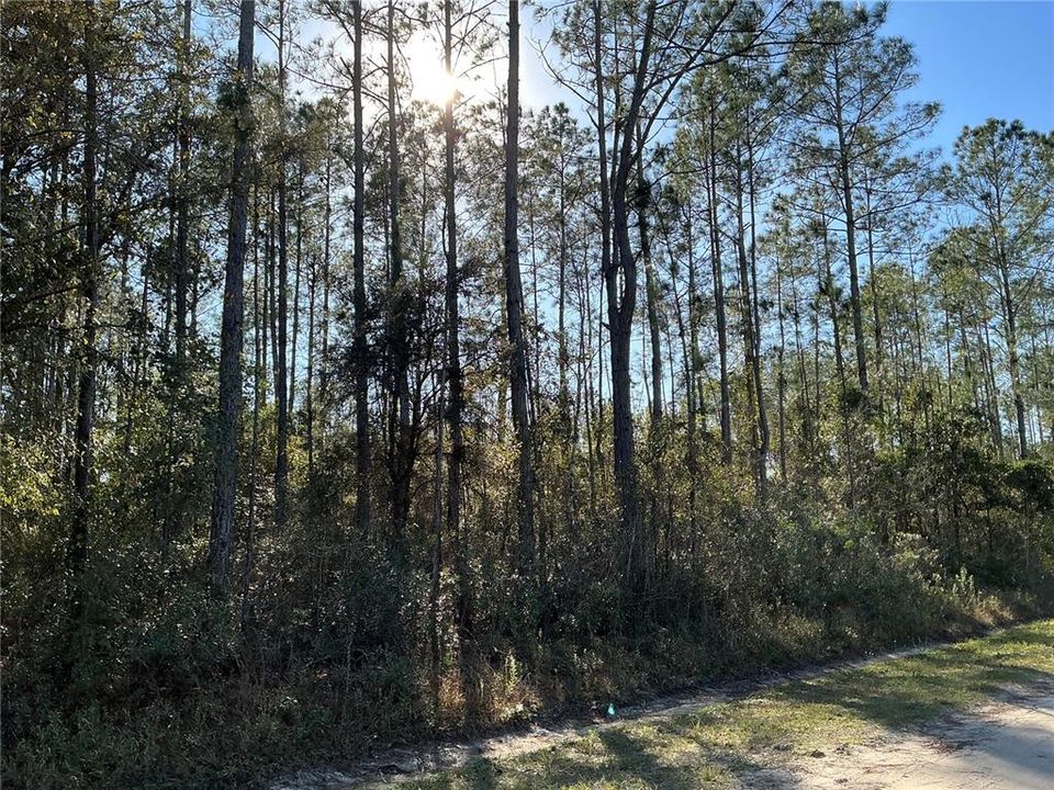 合同活跃: $35,000 (1.14 acres)