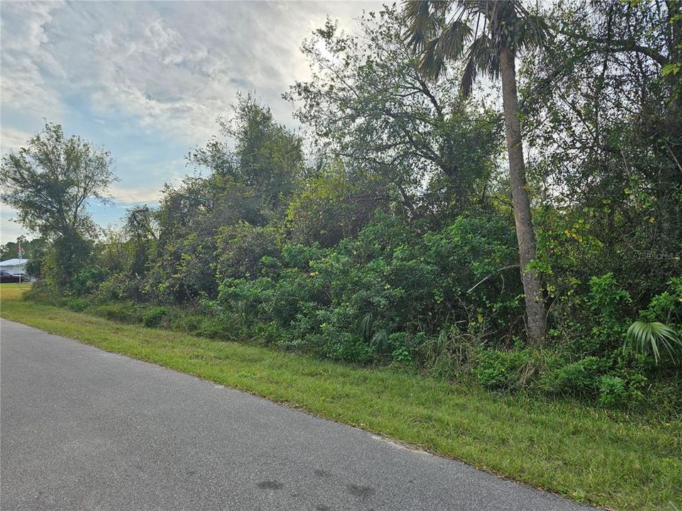 Activo con contrato: $19,900 (0.23 acres)