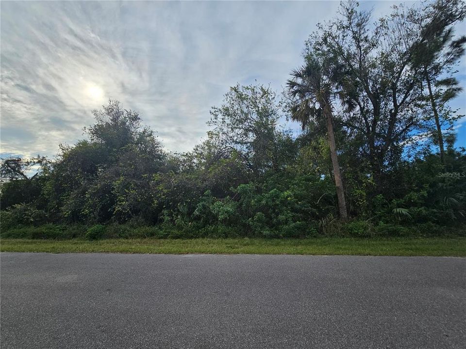 Activo con contrato: $19,900 (0.23 acres)