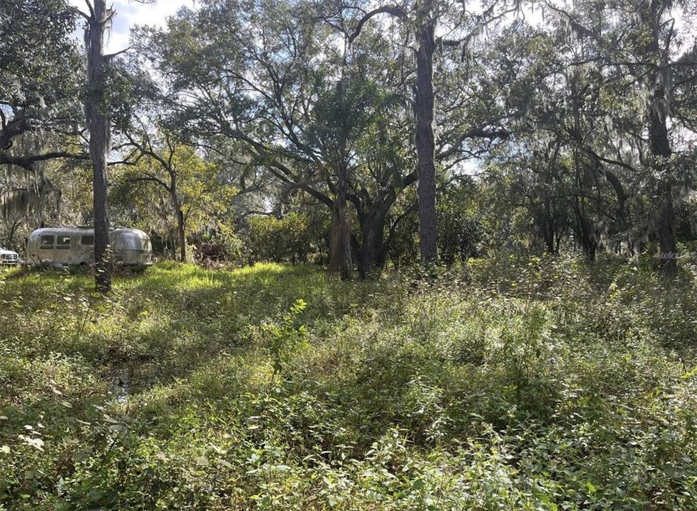 For Sale: $169,000 (1.17 acres)