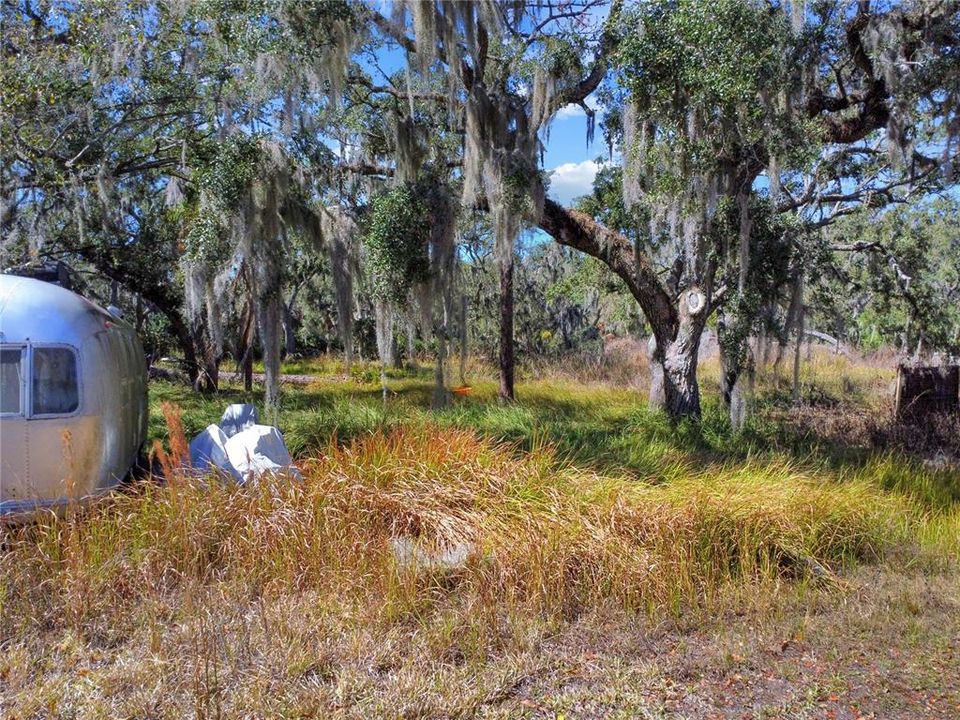 For Sale: $179,900 (1.17 acres)