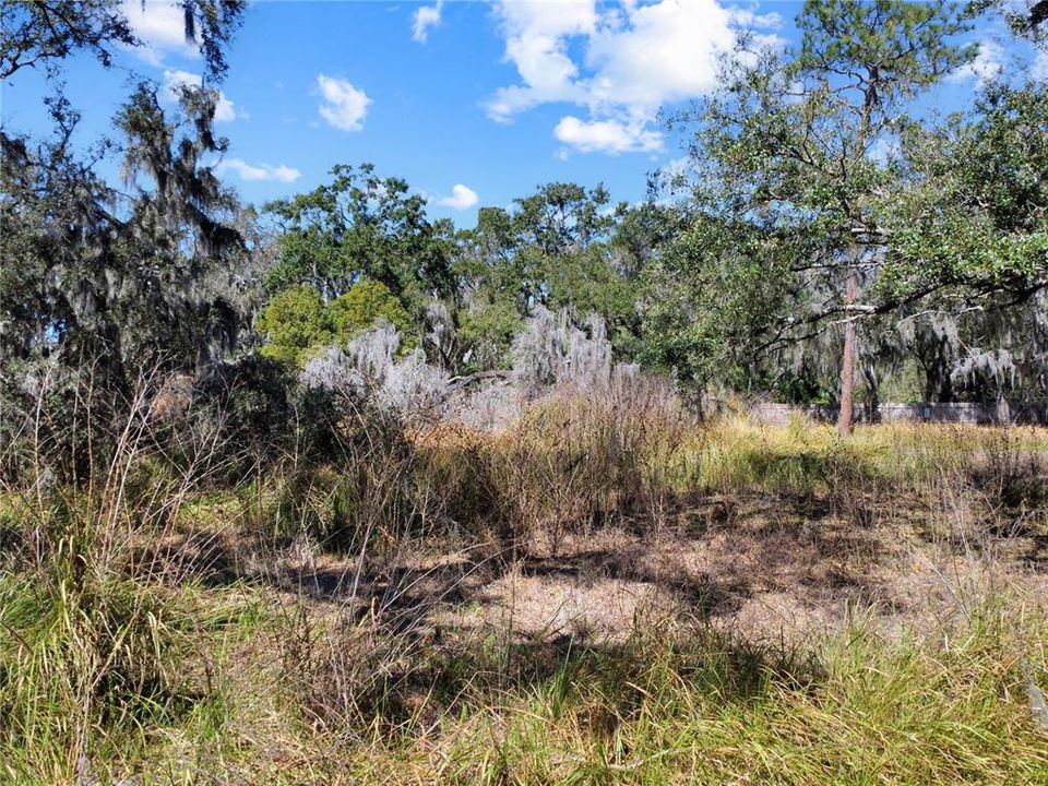 For Sale: $179,900 (1.17 acres)