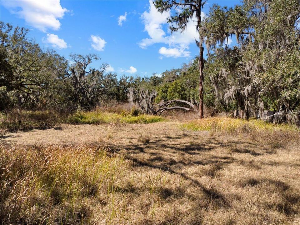 For Sale: $179,900 (1.17 acres)