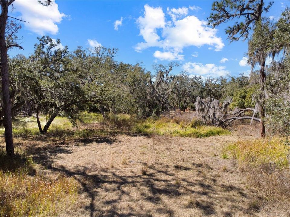 For Sale: $179,900 (1.17 acres)